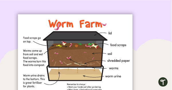 Worm Farm Poster Pack Teaching Resource | Teach Starter