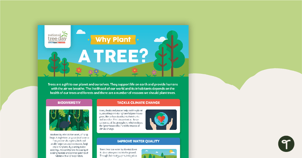 National Tree Day – Why Plant a Tree? Infographic